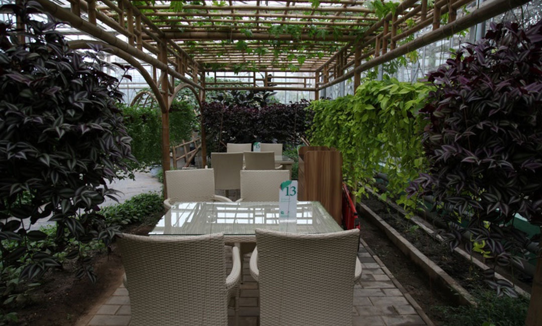 奉贤康柏宇品牌文案撰写案例